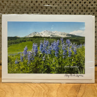 
              Hay Park Lupine Card
            
