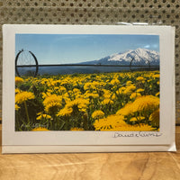 
              Dandelions Card
            