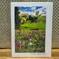 
              Silver Creek Pass Card
            