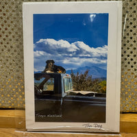 
              Top Dog Card
            