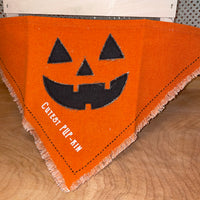 
              Halloween Pet Bandana
            