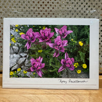 
              Rosy Paintbrush Card
            