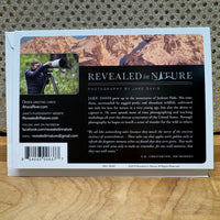 
              Buffalo Grazing Card
            