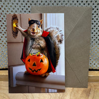 
              Squirrel with Pumpkin Card
            
