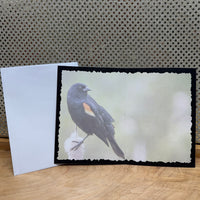 
              Red-Wing Blackbird Advice Card
            