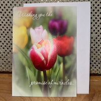 
              Promises of Miracles Card
            
