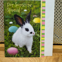 
              For Someone Special Bunny Card
            