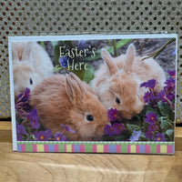 
              Easter's Here Card
            