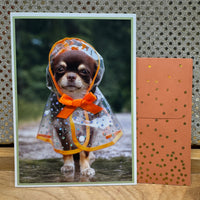 
              Chihuahua with Poncho Card
            