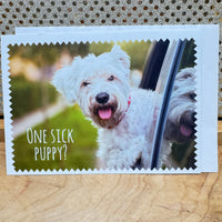 
              One Sick Puppy Card
            