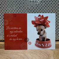 
              Chihuahua Belated Birthday Card
            