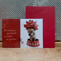 
              Chihuahua Belated Birthday Card
            