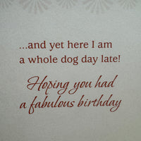 
              Chihuahua Belated Birthday Card
            
