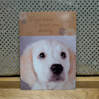 
              Golden Lab Belated Birthday Card
            