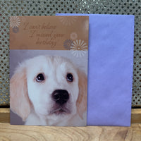 
              Golden Lab Belated Birthday Card
            