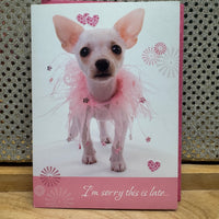 
              White Chihuahua in Tutu Card
            