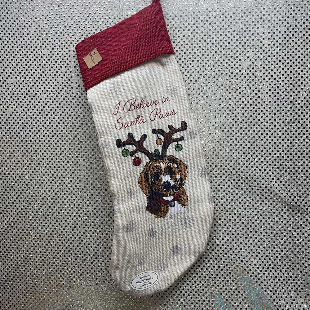 Santa Paws Dog Stocking