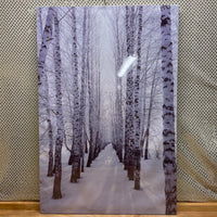 
              Lighted Birch Trees Canvas
            