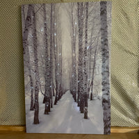 
              Lighted Birch Trees Canvas
            