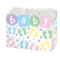 Baby Steps Basket Box
