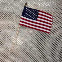 
              American Flag
            