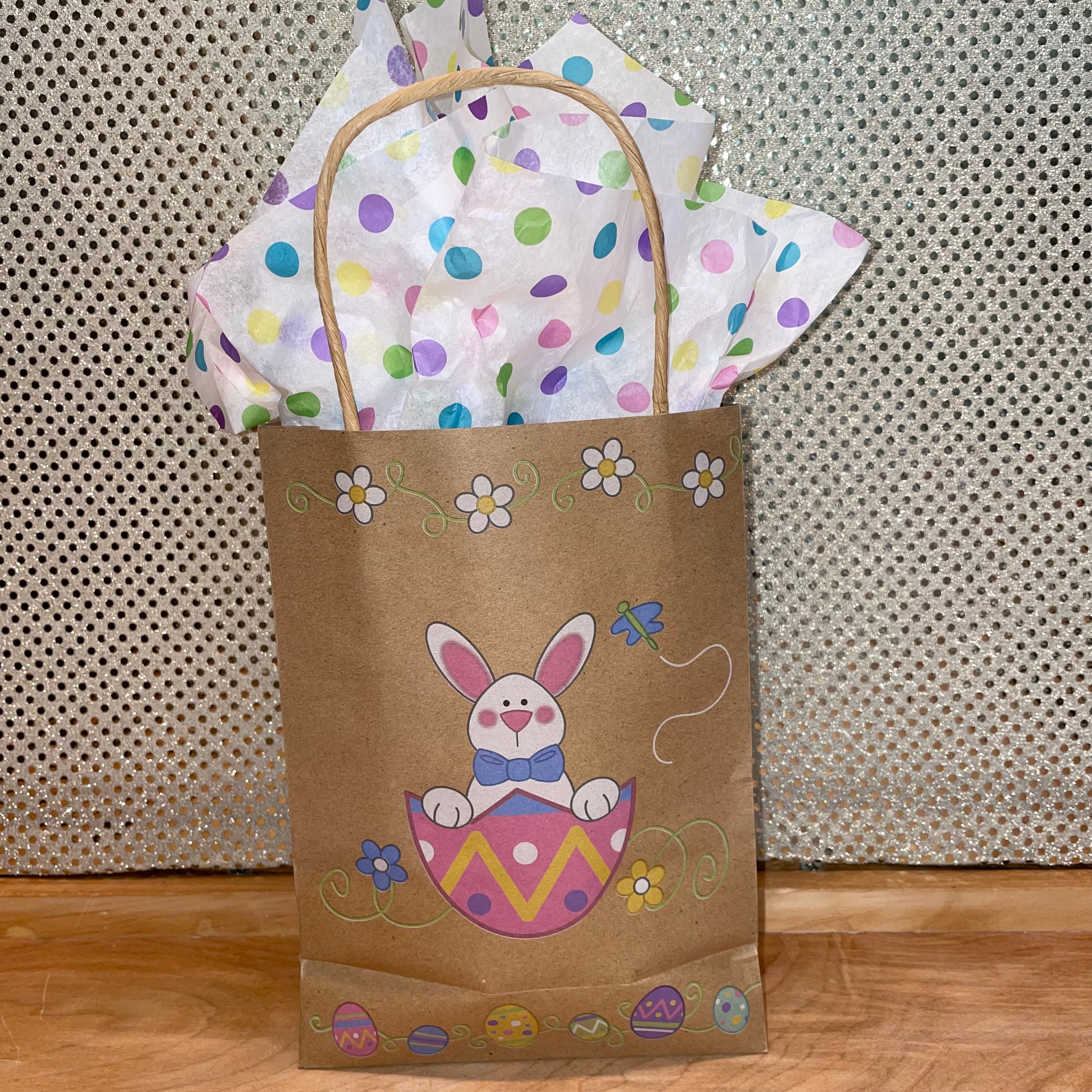 Everyday Glossy Gift Bag w/tissue